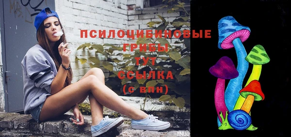 гидра Горно-Алтайск