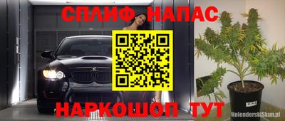 прущие грибы Азнакаево