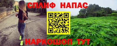 прущие грибы Азнакаево
